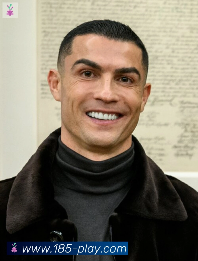 维尼修斯